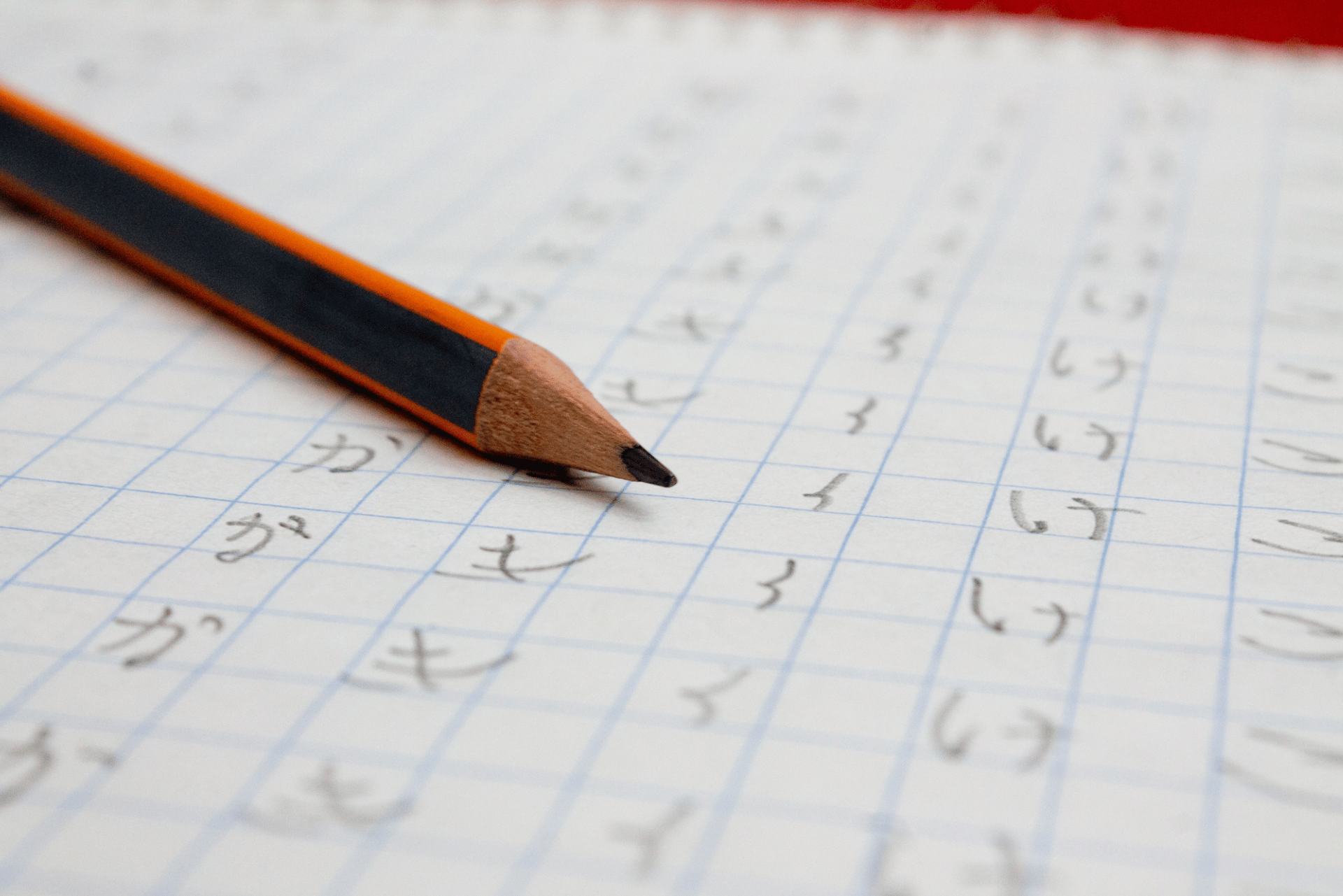 Desain tanpa judul (12)